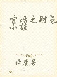 官场之财色诱人小说