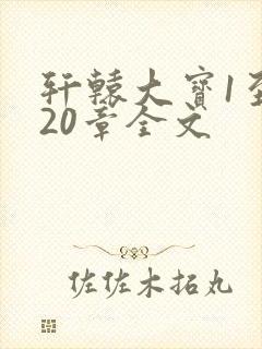 轩辕大宝1至720章全文封面