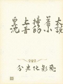 皇上撞着太子妃沈音的小说叫什么