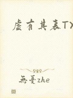 虚有其表TXT封面