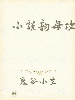 小说韵母攻略封面