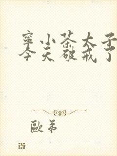 宁小茶太子殿下今天破戒了吗免费阅读
