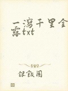 一泻千里金银花露txt