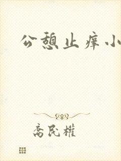 公憩止痒小说封面