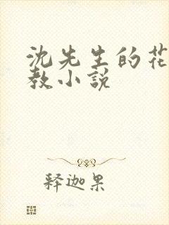 沈先生的花式管教小说