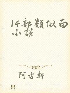 14部类似白洁小说封面