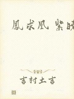 凤求凰 紫晓封面