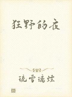 狂野的夜