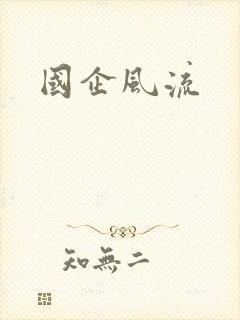 国企风流