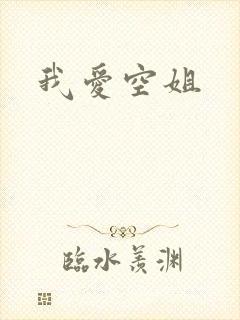 我爱空姐