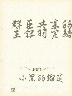 群臣共享的小公主银羽完结了吗