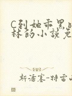 C到她乖黑暗森林的小说免费