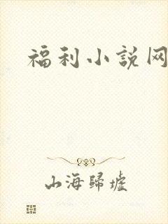 福利小说网封面