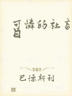 可怜的社畜东度日