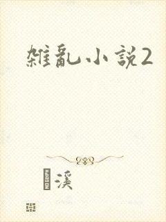 杂乱小说2封面