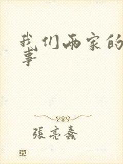 我们两家的荒唐事封面