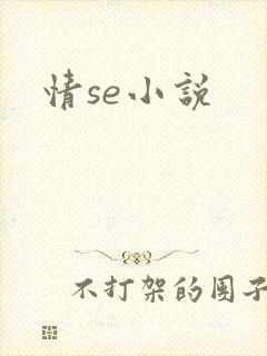 情se小说