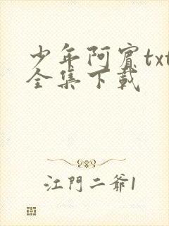 少年阿宾txt全集下载