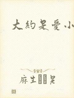 大约是爱小说封面