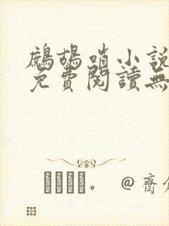 鹧鸪哨小说网站免费阅读无弹窗