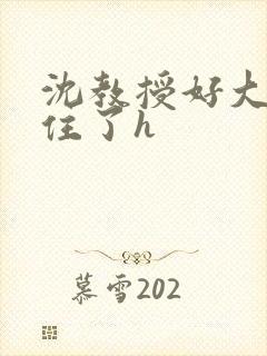 沈教授好大含不住了h