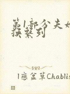 第1部分夫妇交换系列