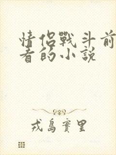 情侣战斗前适合看的小说