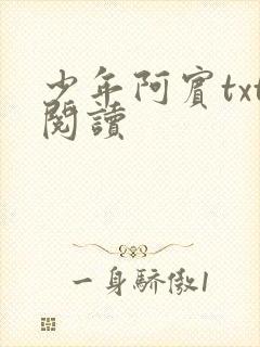 少年阿宾txt阅读