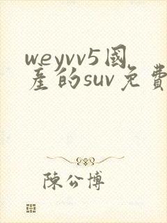 weyvv5国产的suv免费