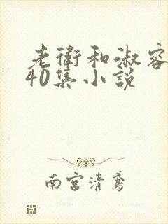 老卫和淑容1-40集小说