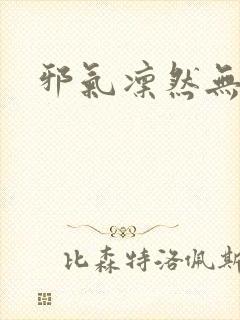 邪气凛然无弹窗