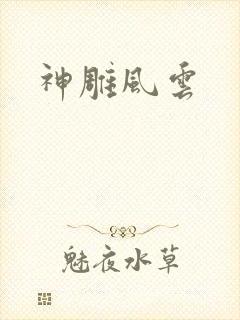 神雕风云封面