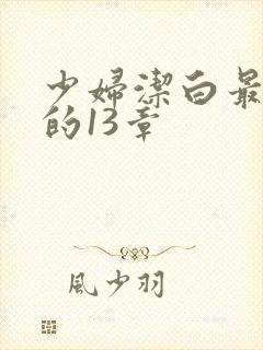 少妇洁白最刺激的13章封面