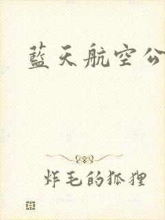 蓝天航空公司封面