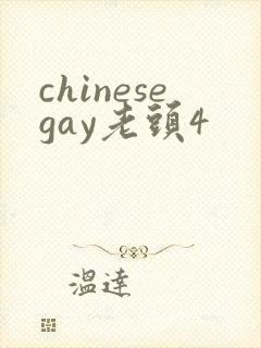 chinesegay老头4