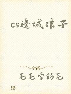 cs边城浪子