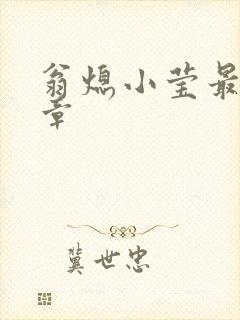 翁熄小莹最新节章