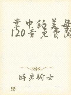 掌中的美母版主120章免费阅读封面