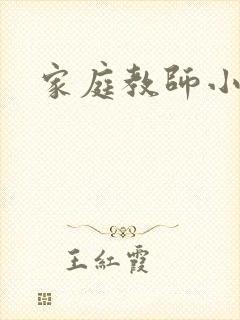 家庭教师小说封面