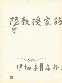 陆教授家的小月牙