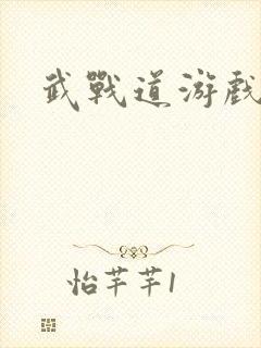 武战道游戏