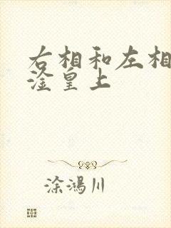 右相和左相一起淦皇上