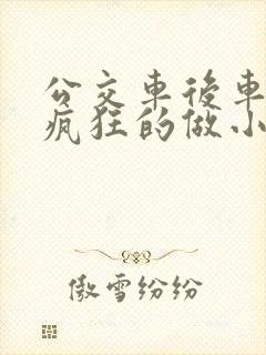 公交车后车座的疯狂的做小封面