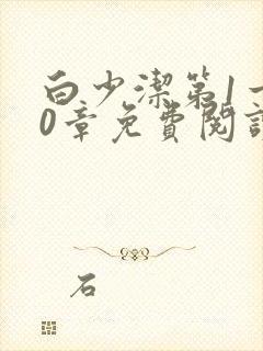 白少洁第1一40章免费阅读封面