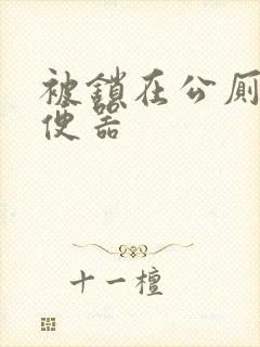 被锁在公厕当坐便器