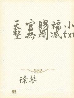 天官赐福小说完整无删减txt下载