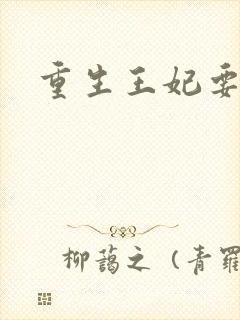 重生王妃要和离