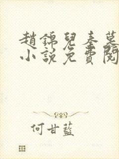 赵锦儿秦慕修的小说免费阅读全文