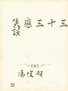 失恋三十三天小说