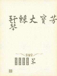 轩辕大宝芳菲雅琴封面